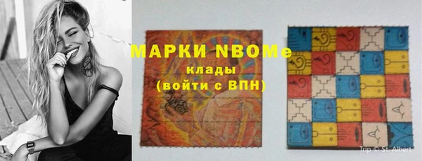 прущий лед Алзамай
