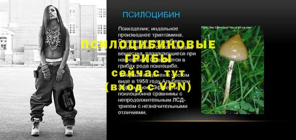ПСИЛОЦИБИНОВЫЕ ГРИБЫ Абаза