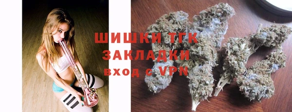 ПСИЛОЦИБИНОВЫЕ ГРИБЫ Абаза